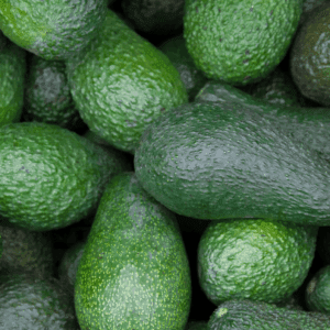 6lb Hass Avocado Box