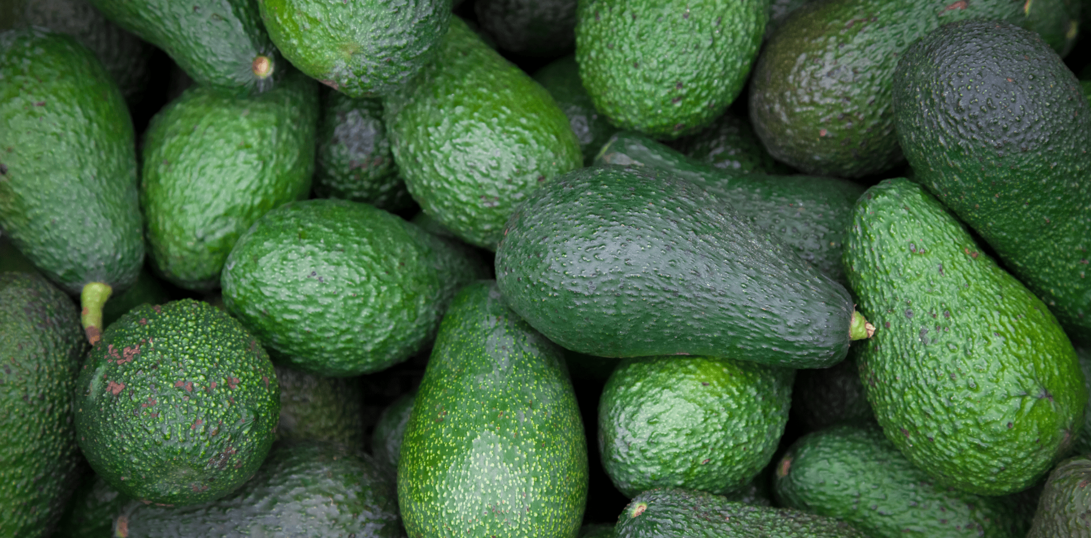 6lb Hass Avocado Box