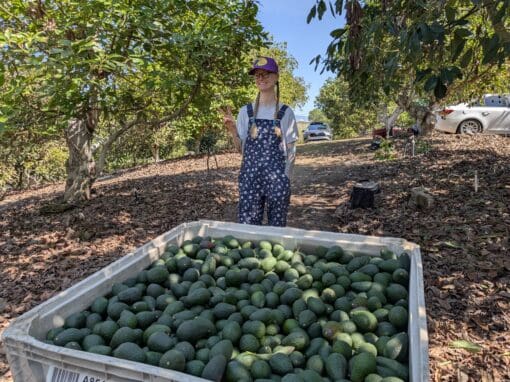 PXL_20250310_203003581