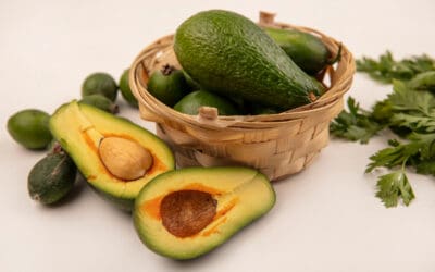 A Day in the Life of an Avocado Farmer