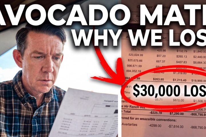 What It Really Costs to Run a California Avocado Farm