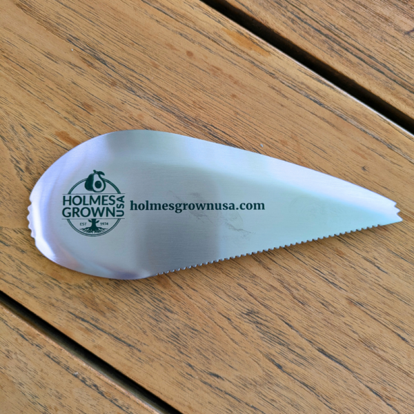 Stainless Steel Avocado Scoop