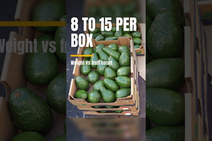 Avocado Box Weight vs Count: How Seasonal Sizing Affects Farm-Direct Orders