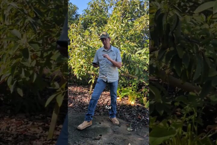 Are Farmers Rich? The Reality of Agricultural Income and California Family Farms