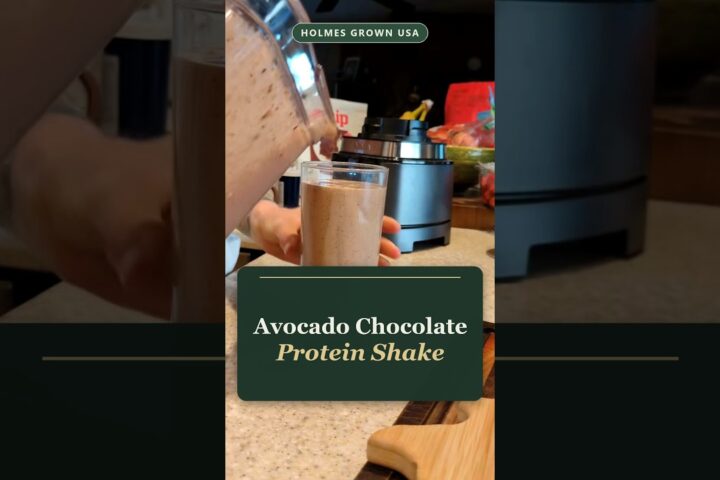 Avocado Chocolate Protein Shake: Thick, Creamy and Ready in One Blend