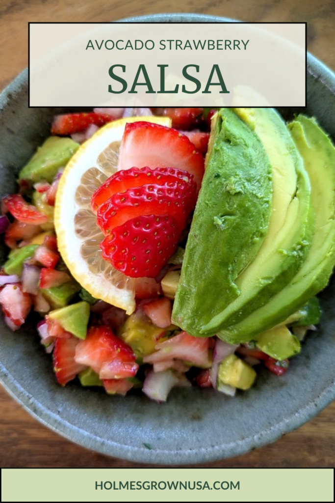 Avocado strawberry salsa Pinterest pin 1