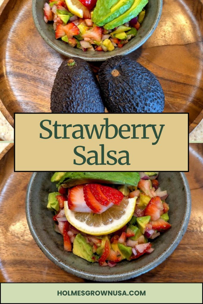 Avocado strawberry salsa Pinterest pin 2
