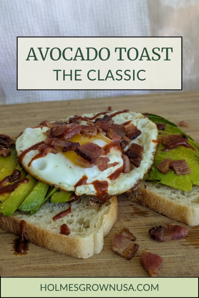 Classic avocado toast Pinterest pin 1