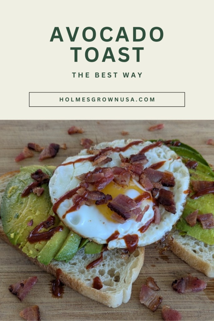 Classic avocado toast Pinterest pin 2