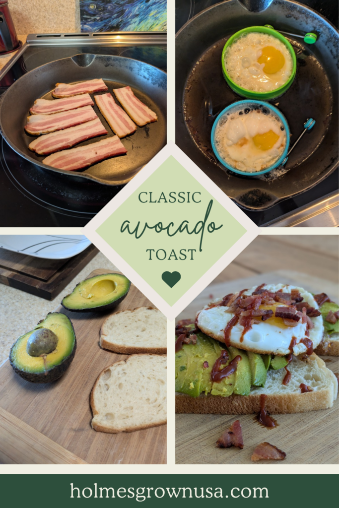 Classic avocado toast Pinterest pin 3
