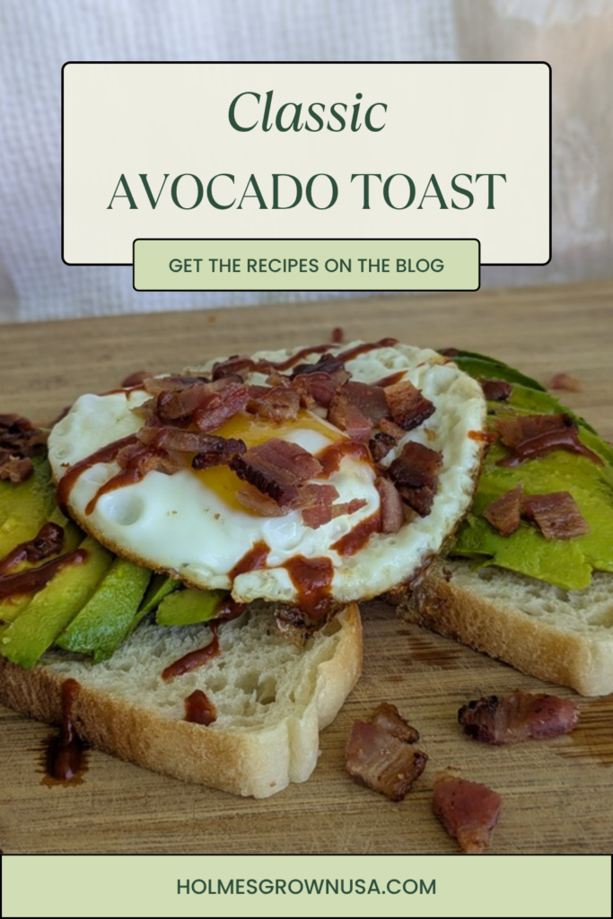 Classic avocado toast Pinterest pin 4