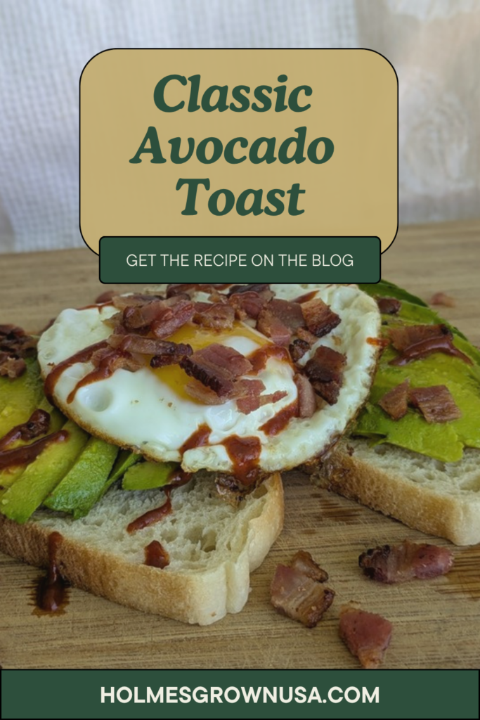Classic avocado toast Pinterest pin 5