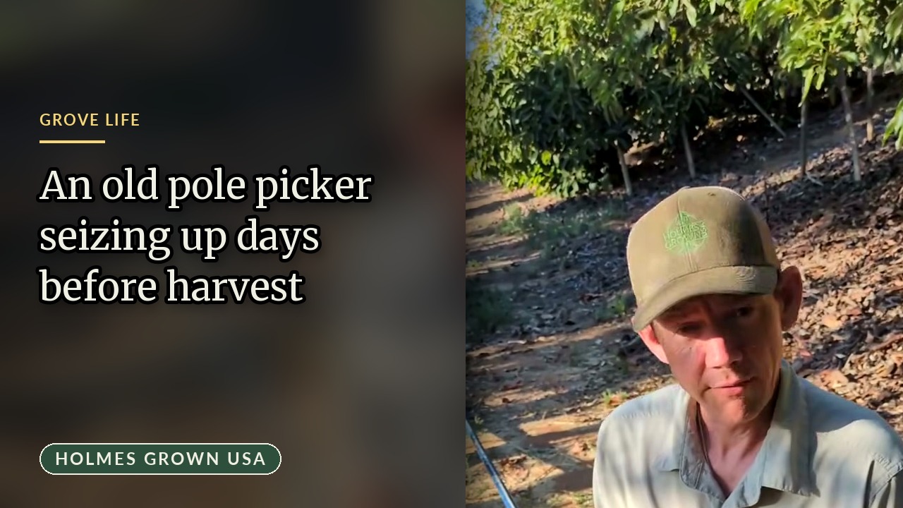 How to Repair and Maintain a Vintage Avocado Pole Picker Tool