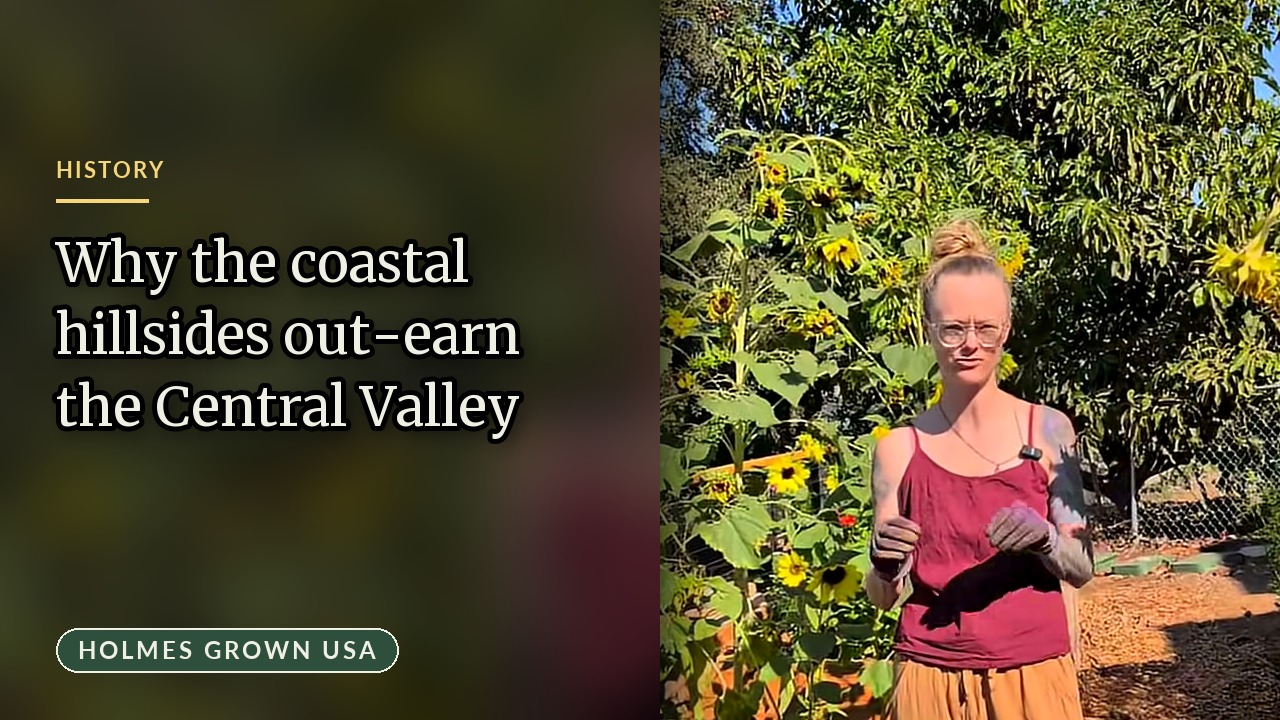 San Diego Agriculture: Why San Diego County Leads California in Value Per Acre