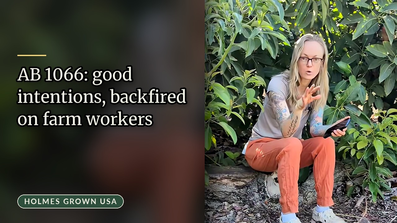 California Farm Overtime Law AB 1066: Why Good Intentions Backfired on Farmworkers