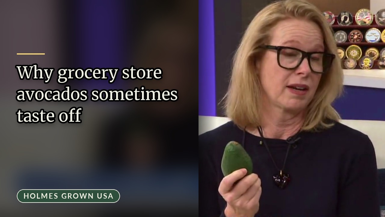 Imported Avocados and California Growers: What Is Behind the Price on the Shelf
