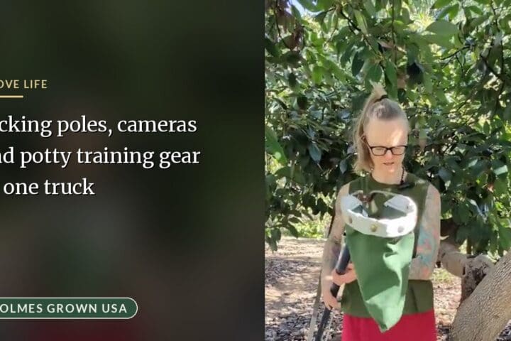 Behind the Scenes: Documenting Daily Life in a California Commercial Avocado Grove