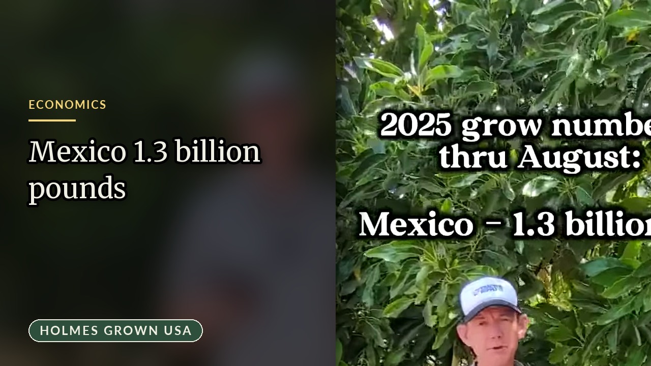 Where America’s Avocados Come From: The 2025 Numbers by Country