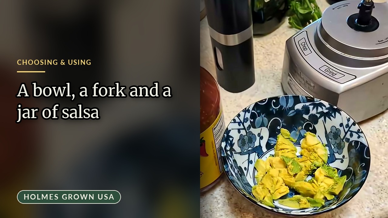 Quick Guacamole Recipe: How to Make 2-Minute Lazy Guacamole with Ripe Avocados